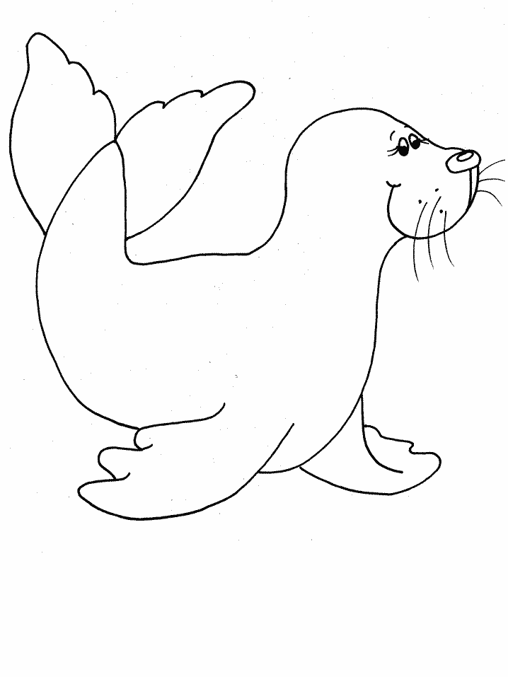 Plansa de colorat cu Foca 15 7